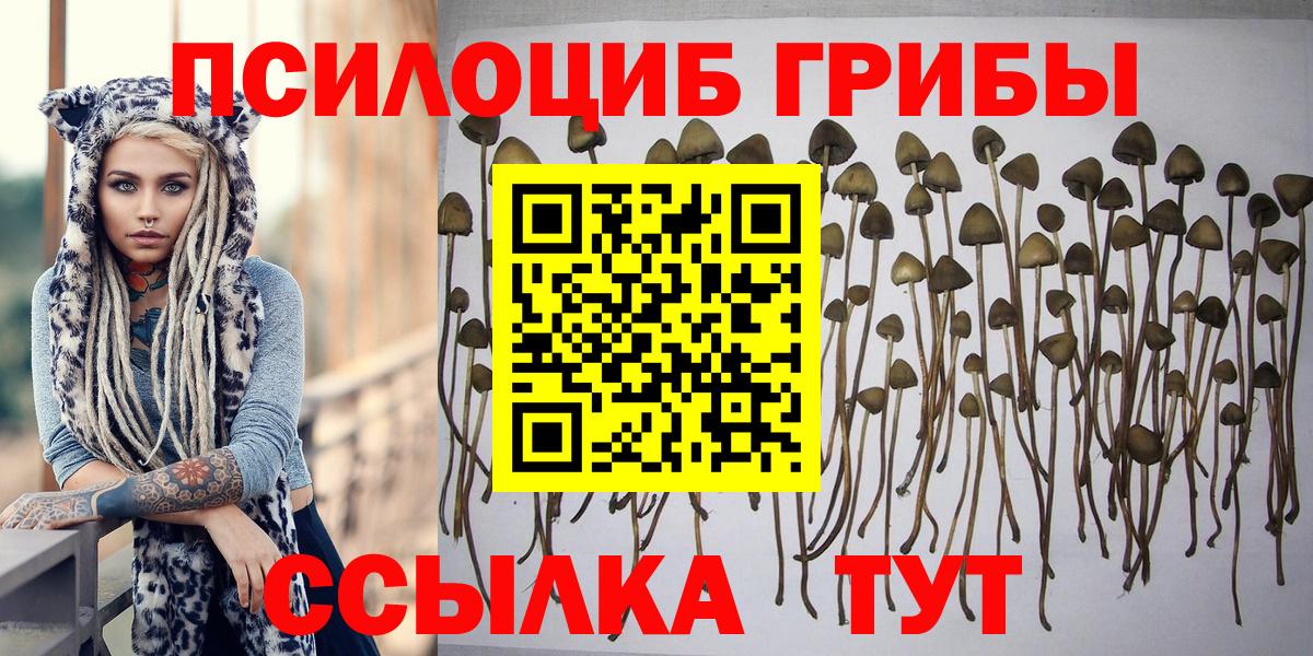 Псилоцибиновые грибы Magic Shrooms  Галлюциногенные грибы Magic Shrooms  Белово  Вход с VPN 